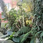 O Fada da Floresta é seu refúgio p/ até 4 pessoas